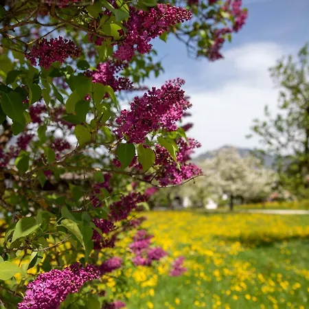 Haus Sonnblick Penthouse Reith im Alpbachtal