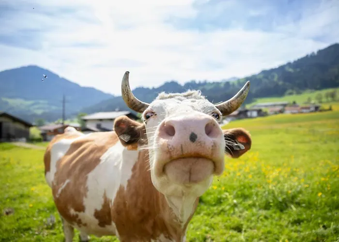 Apartmán Haus Sonnblick Penthouse *