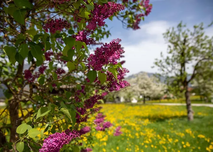 Haus Sonnblick Penthouse Reith im Alpbachtal